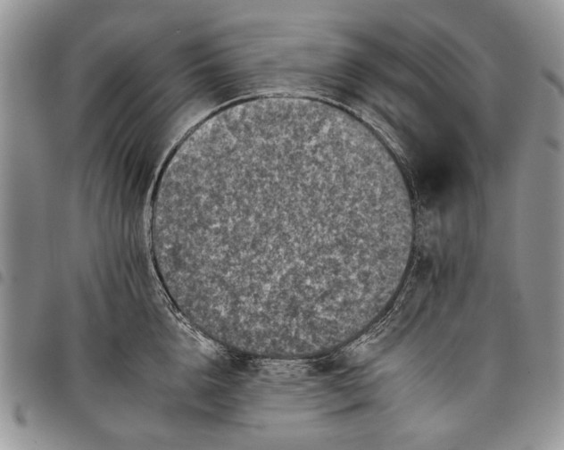 X0000097950856200804141001