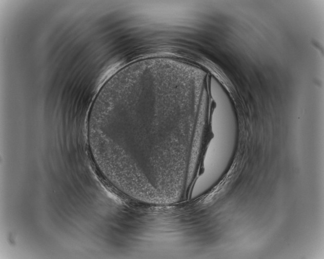 X0000097950858200804141001