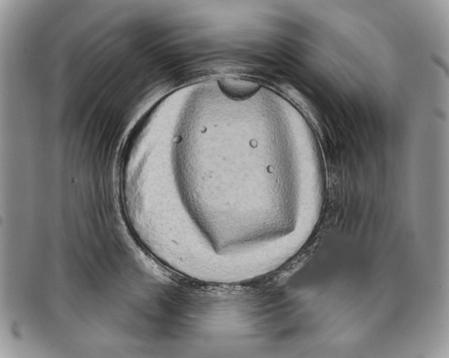 X0000097950859200804141001