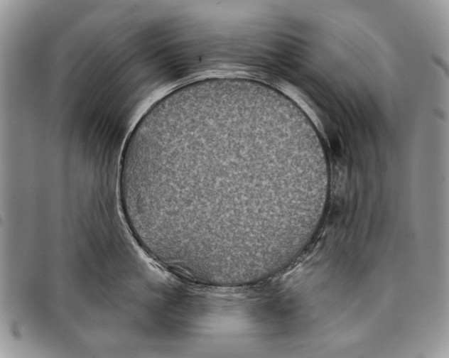 X0000097950861200804141001
