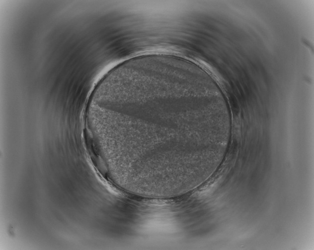 X0000097950862200804141001