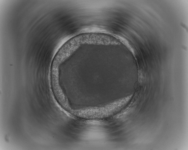 X0000097950863200804141001