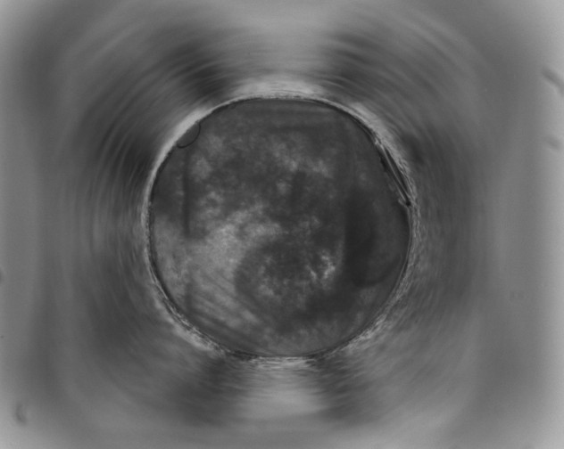 X0000097950864200804141001