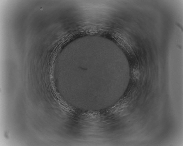 X0000097950865200804141001