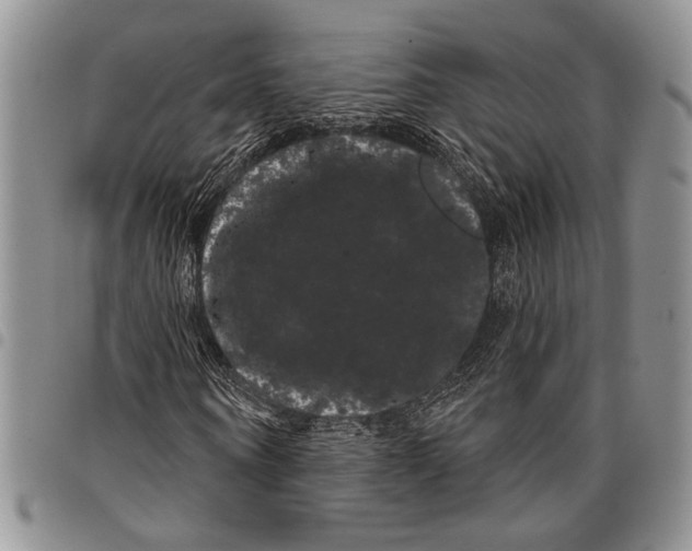 X0000097950866200804141001