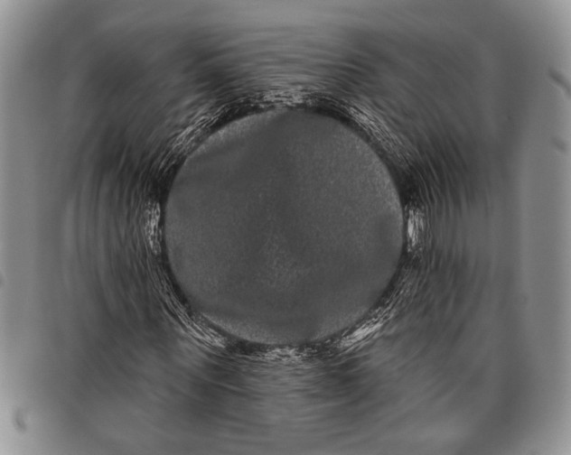 X0000097950867200804141001