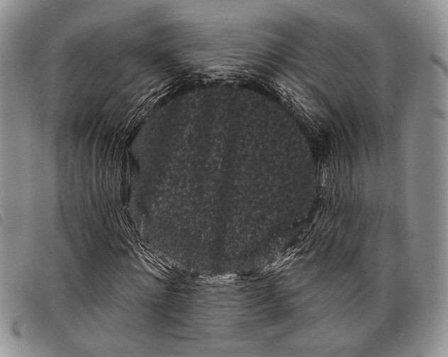 X0000097950868200804141001