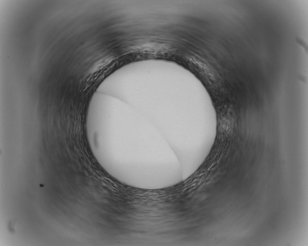 X0000097950869200804141001