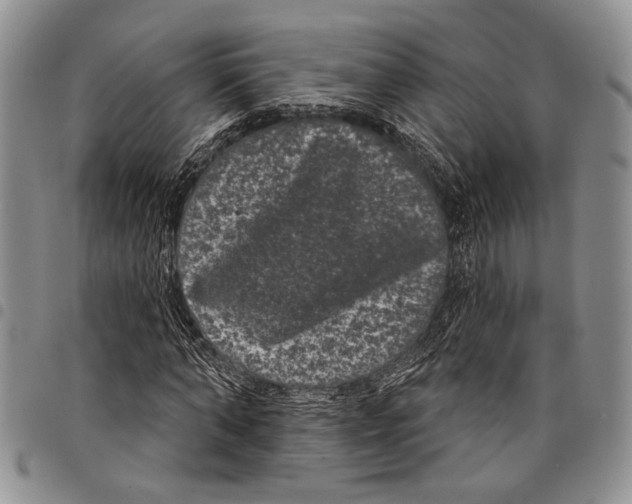 X0000097950870200804141001