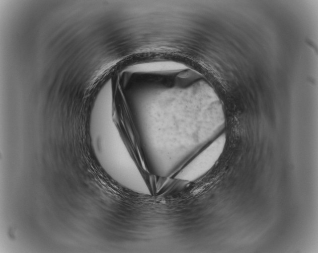 X0000097950872200804141001