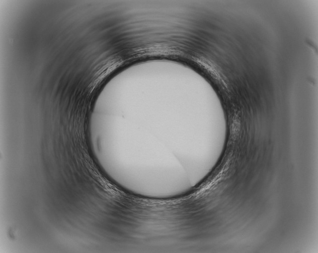 X0000097950873200804141000