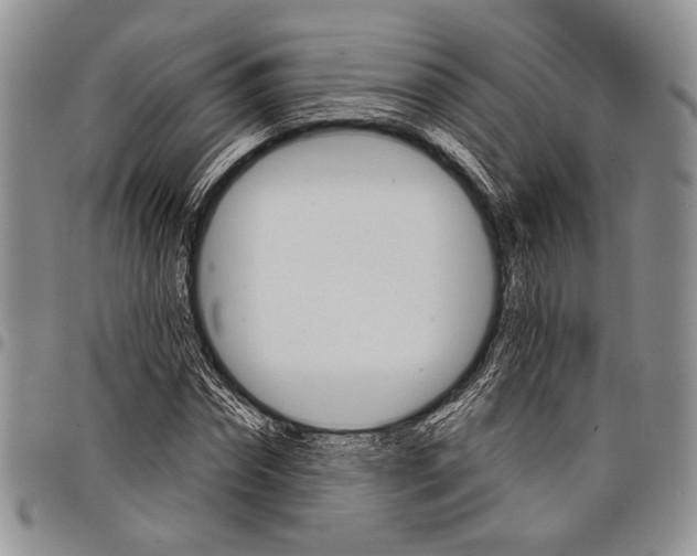 X0000097950874200804141000