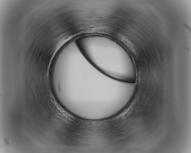 X0000097950876200804141000