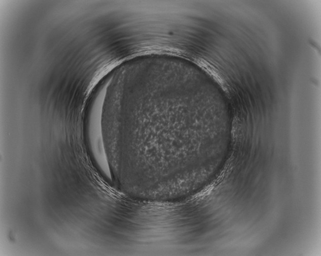 X0000097950877200804141000