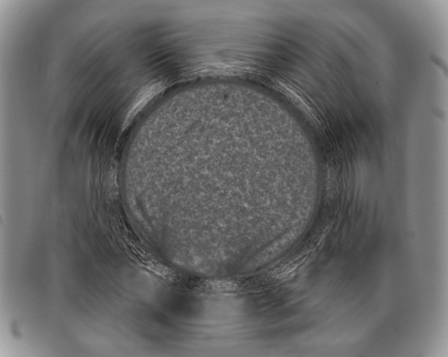 X0000097950878200804141000