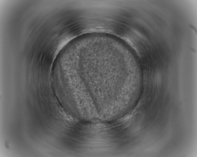 X0000097950879200804141000