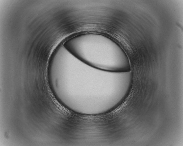 X0000097950880200804141000