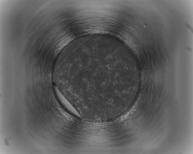 X0000097950881200804141000