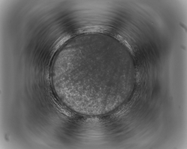 X0000097950882200804141000