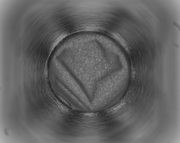 X0000097950883200804141000