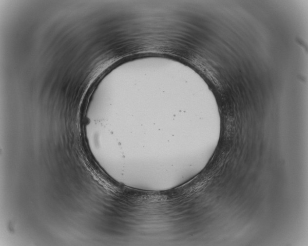 X0000097950884200804141000