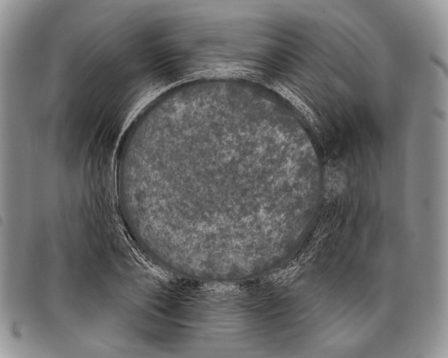 X0000097950886200804141000