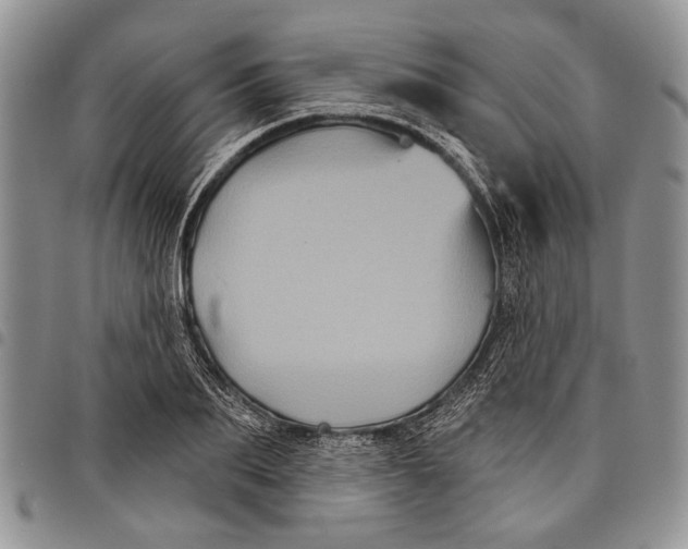 X0000097950887200804141000