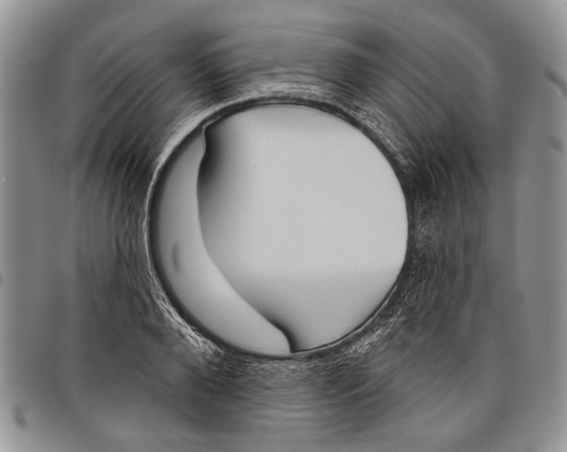 X0000097950888200804141000