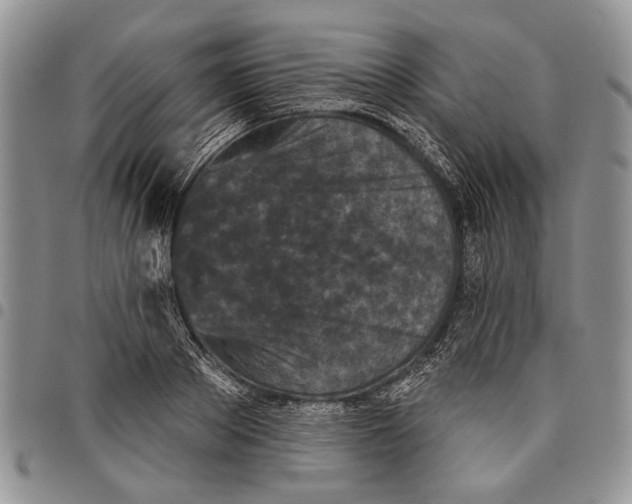 X0000097950889200804141000