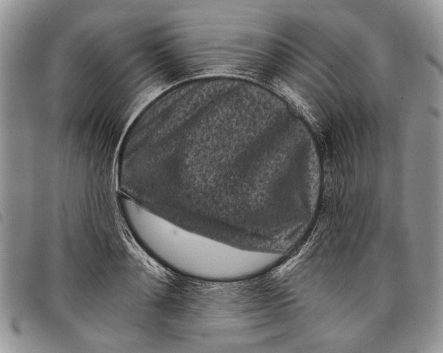 X0000097950892200804141000