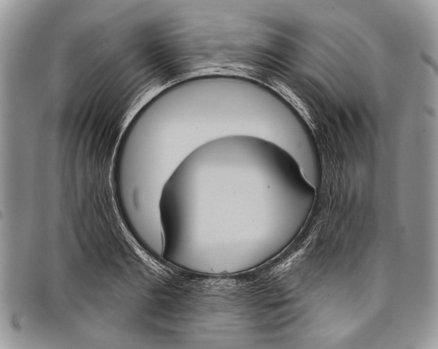 X0000097950893200804141000