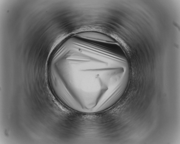 X0000097950894200804141000