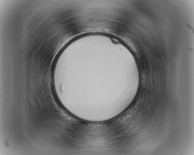 X0000097950895200804141000