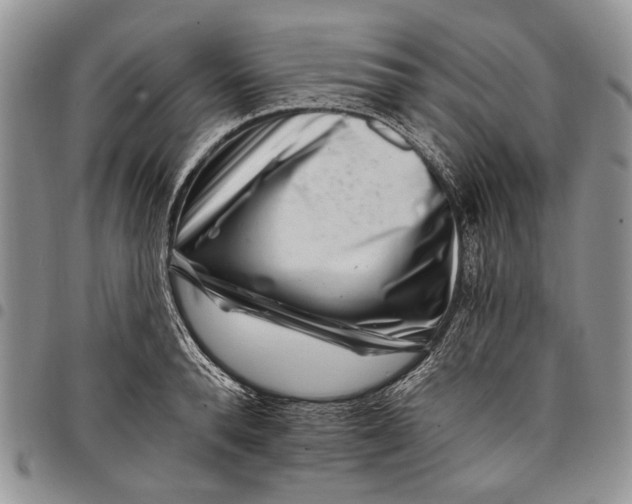 X0000097950896200804141000