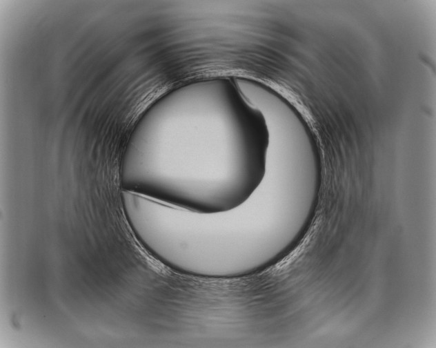 X0000097950897200804141000
