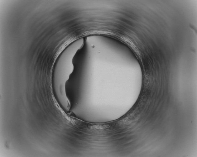 X0000097950898200804141000