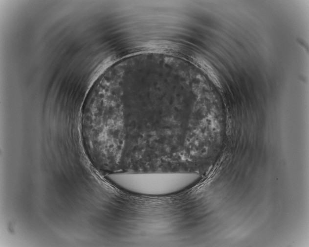 X0000097950899200804141000