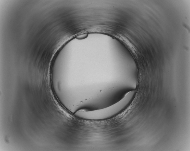 X0000097950902200804141000