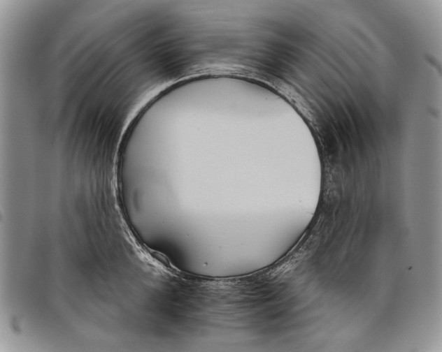 X0000097950904200804141000