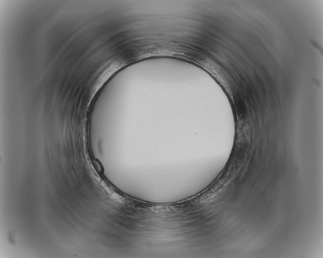 X0000097950906200804141000