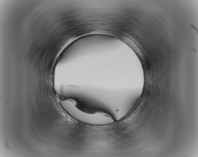 X0000097950908200804141000