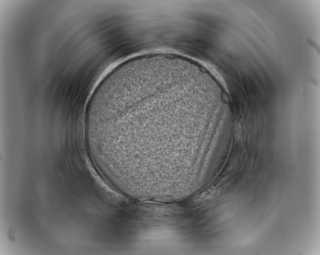 X0000097950911200804141000