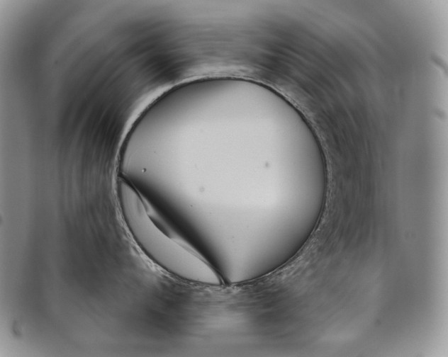 X0000097950912200804141000