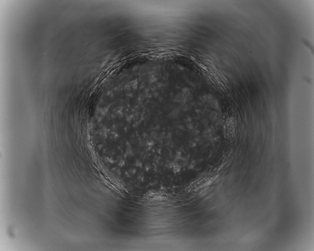X0000097950913200804140959