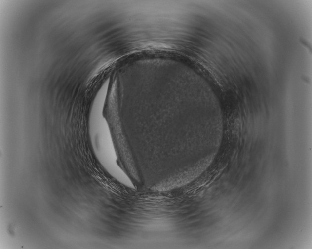 X0000097950919200804140959