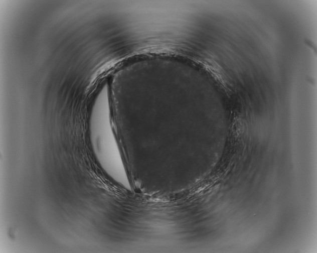 X0000097950920200804140959