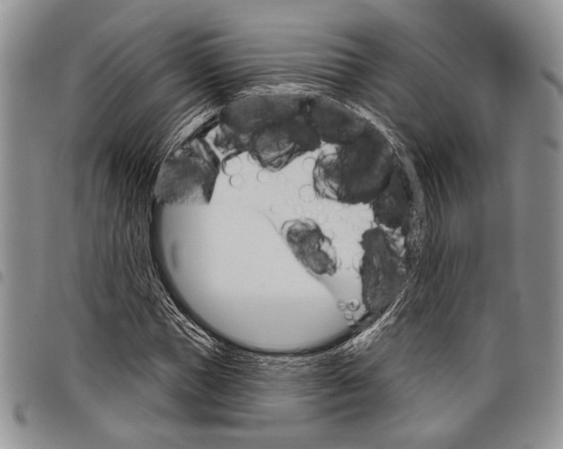 X0000097950921200804140959