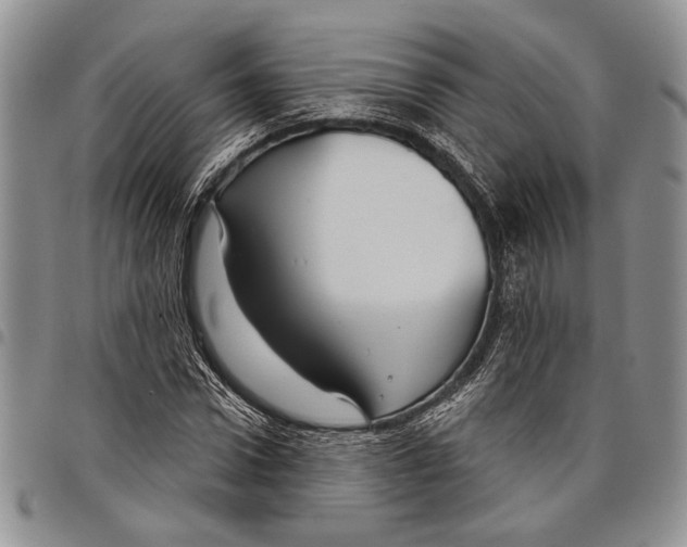 X0000097950922200804140959