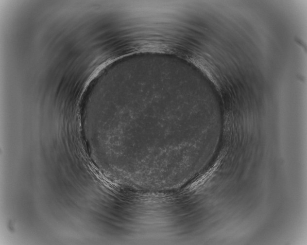 X0000097950923200804140959