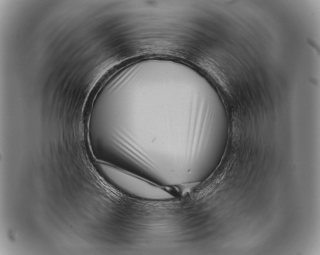 X0000097950924200804140959